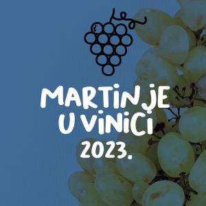 Martinje u Vinici 2023.