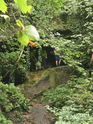 Proljetno čišćenje Općine Vinica