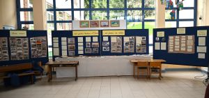 240 godina školstva u Vinici